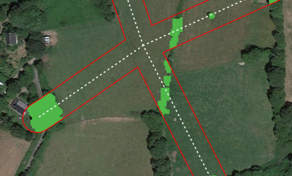 cu6_tree_detection